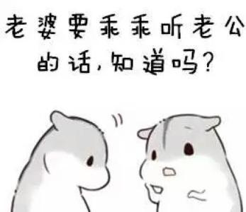 老婆的真正含义是什么？老婆的责任有哪些？-站长统计网