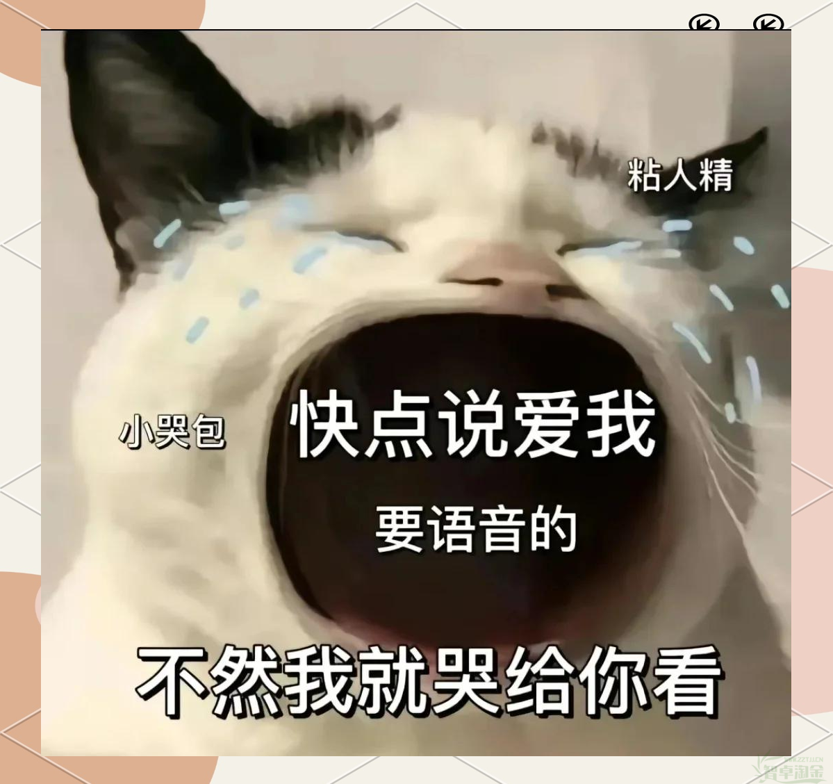 爱情寄生虫这个网络用语是什么意思?